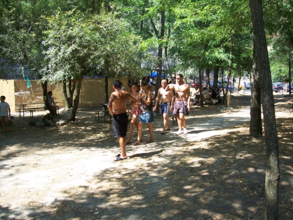  Image name: Parco25.jpg 
 width: 600 pixel 
 height: 451 pixel 
 Size: 321866 bytes 
 Click to enlarge 